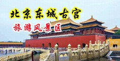 操尻视频免费中国北京-东城古宫旅游风景区